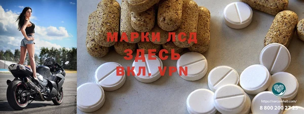 твердый Аркадак
